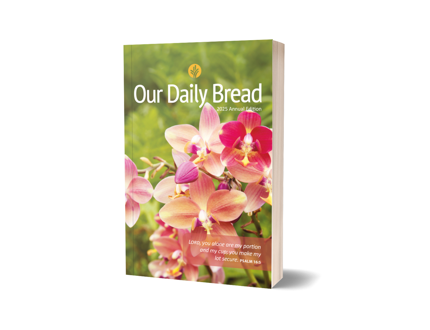 2025 Our Daily Bread (Flower)