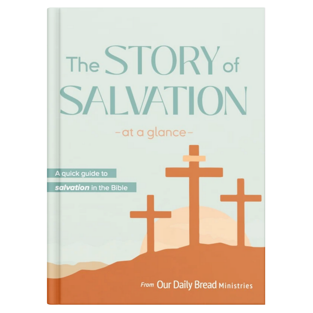 THE STORY OF SALVATION AT A GLANCE